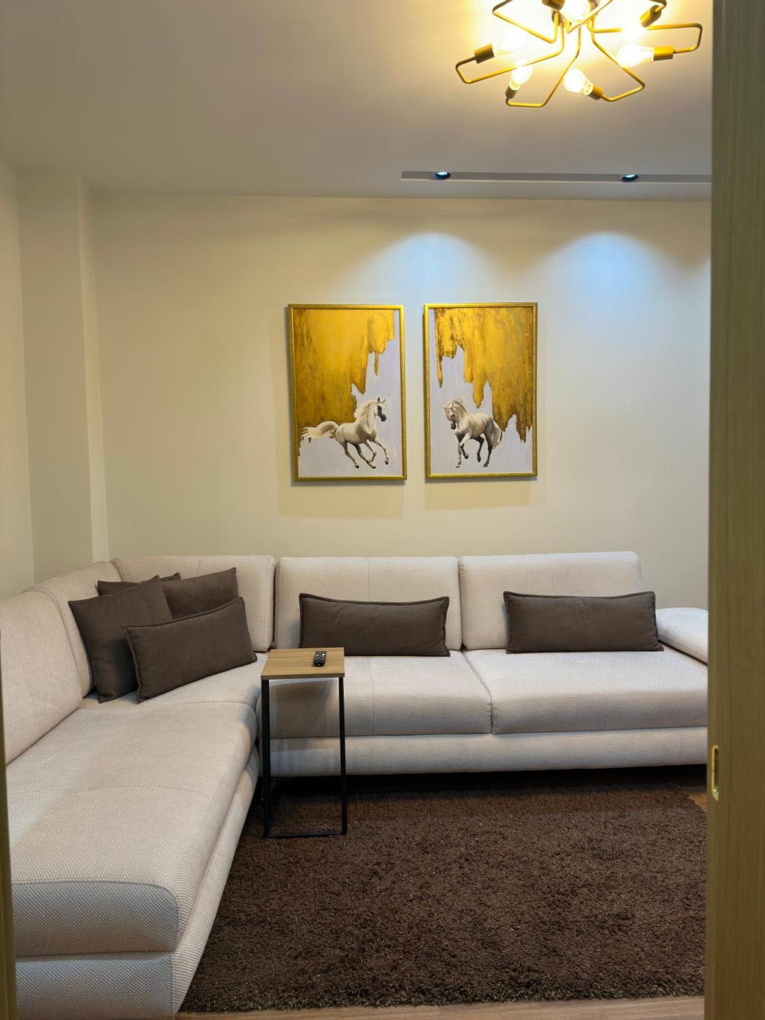 Dry Apartment Tirana